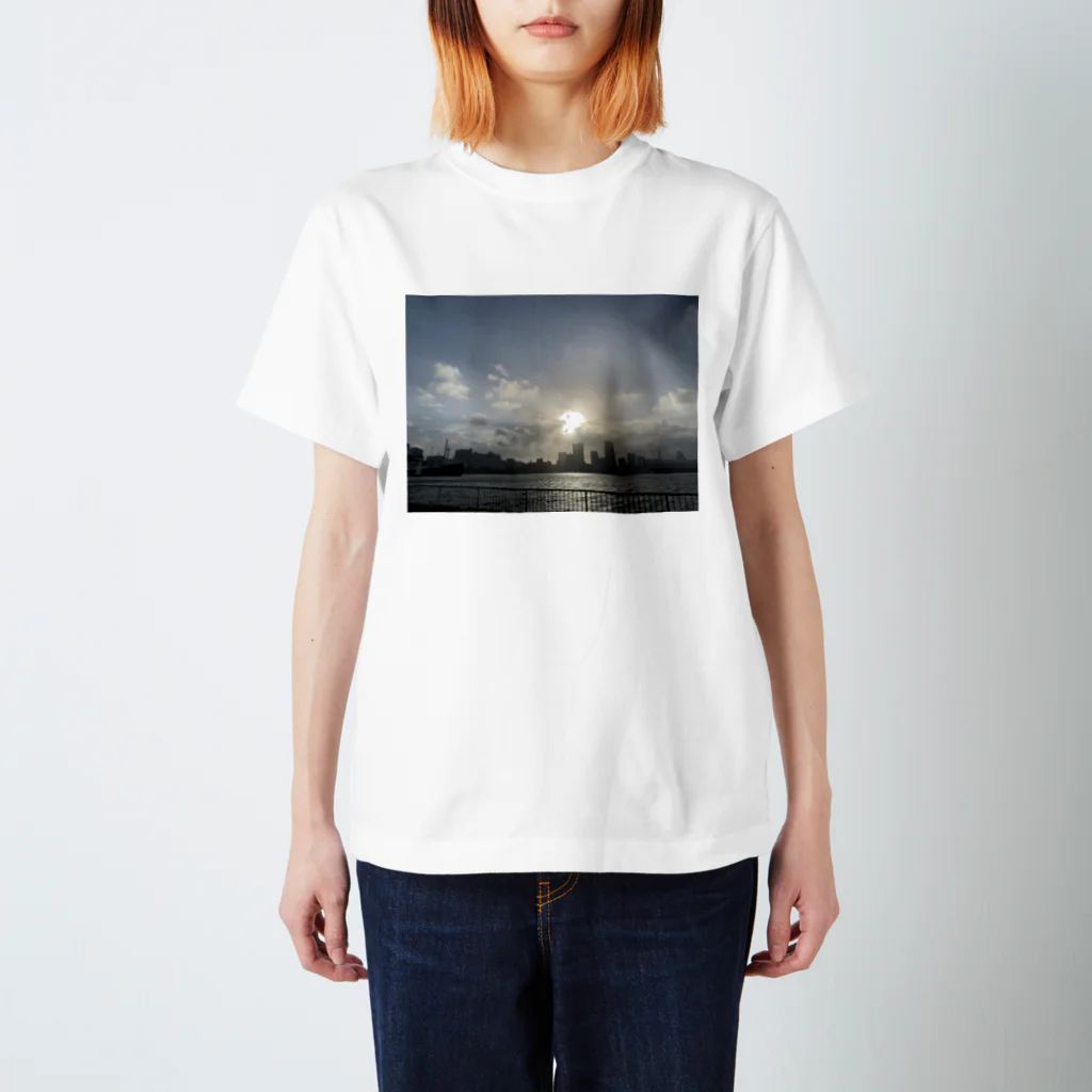 papillonの景色t Regular Fit T-Shirt