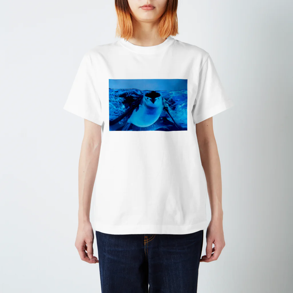 ペンギンの写真のヒゲペンギン　写真　リアル Regular Fit T-Shirt