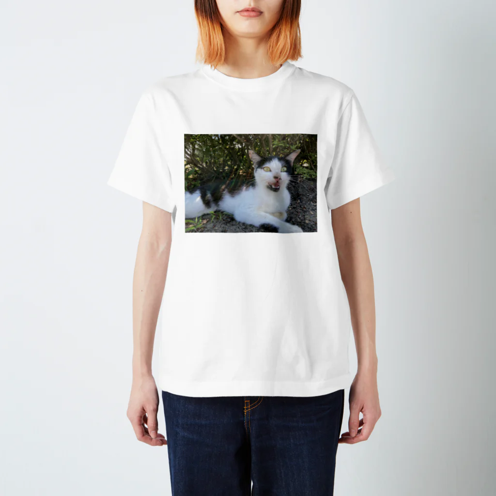 jlkのかいねこ スタンダードTシャツ