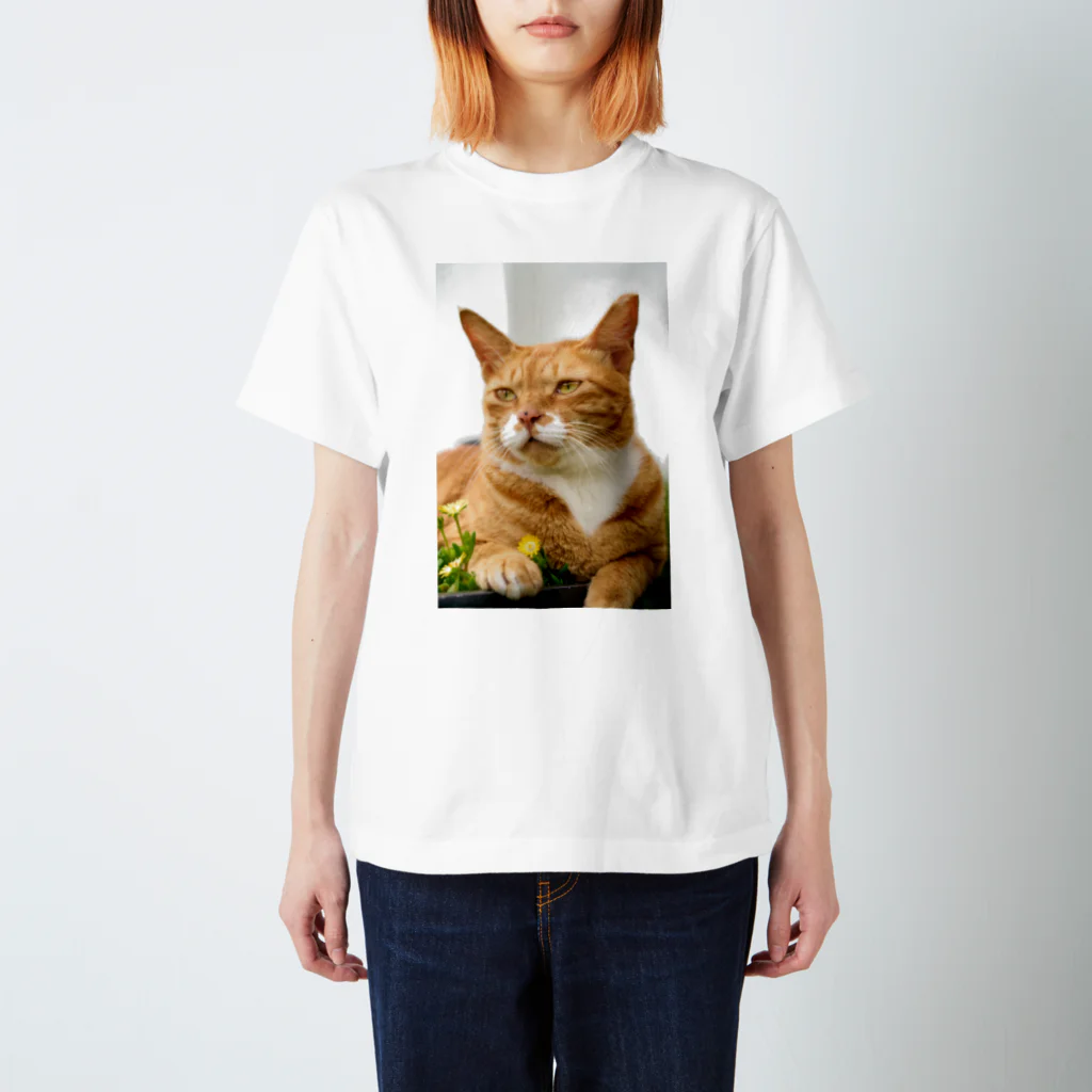 猫写真家「むに」のアトリエの猫と花 Regular Fit T-Shirt