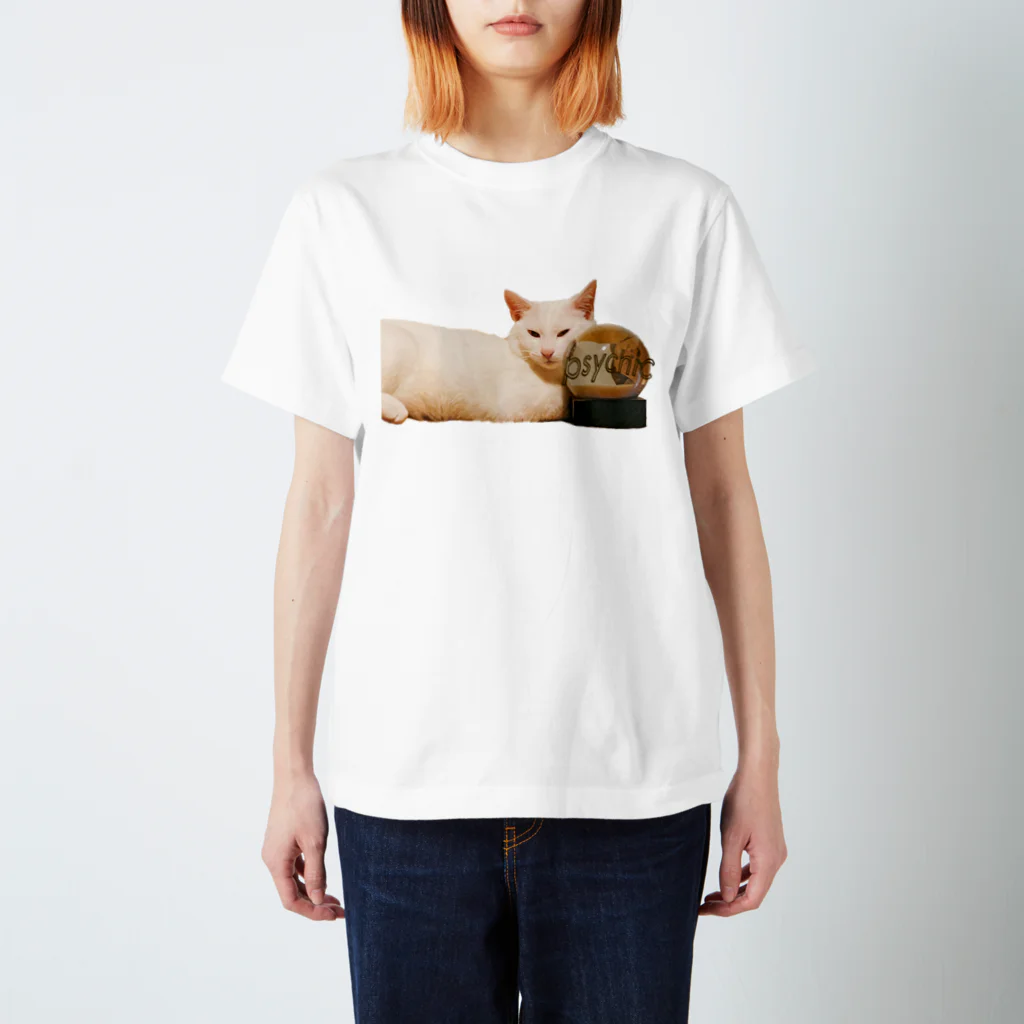 adoama HOUSEの球体ねこ /文字あり Regular Fit T-Shirt