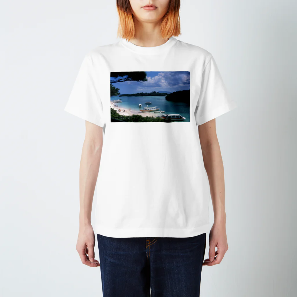 キロウソアの川平100%Tシャツ Regular Fit T-Shirt