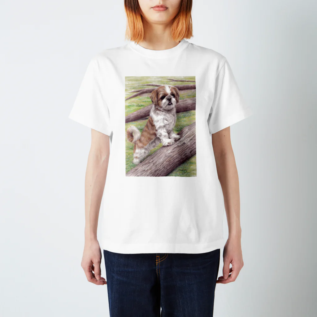 Momojiの犬画のシーズー101 スタンダードTシャツ