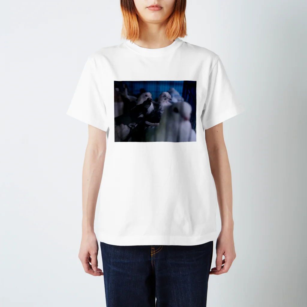 fragmentsのトルコの鳩 スタンダードTシャツ