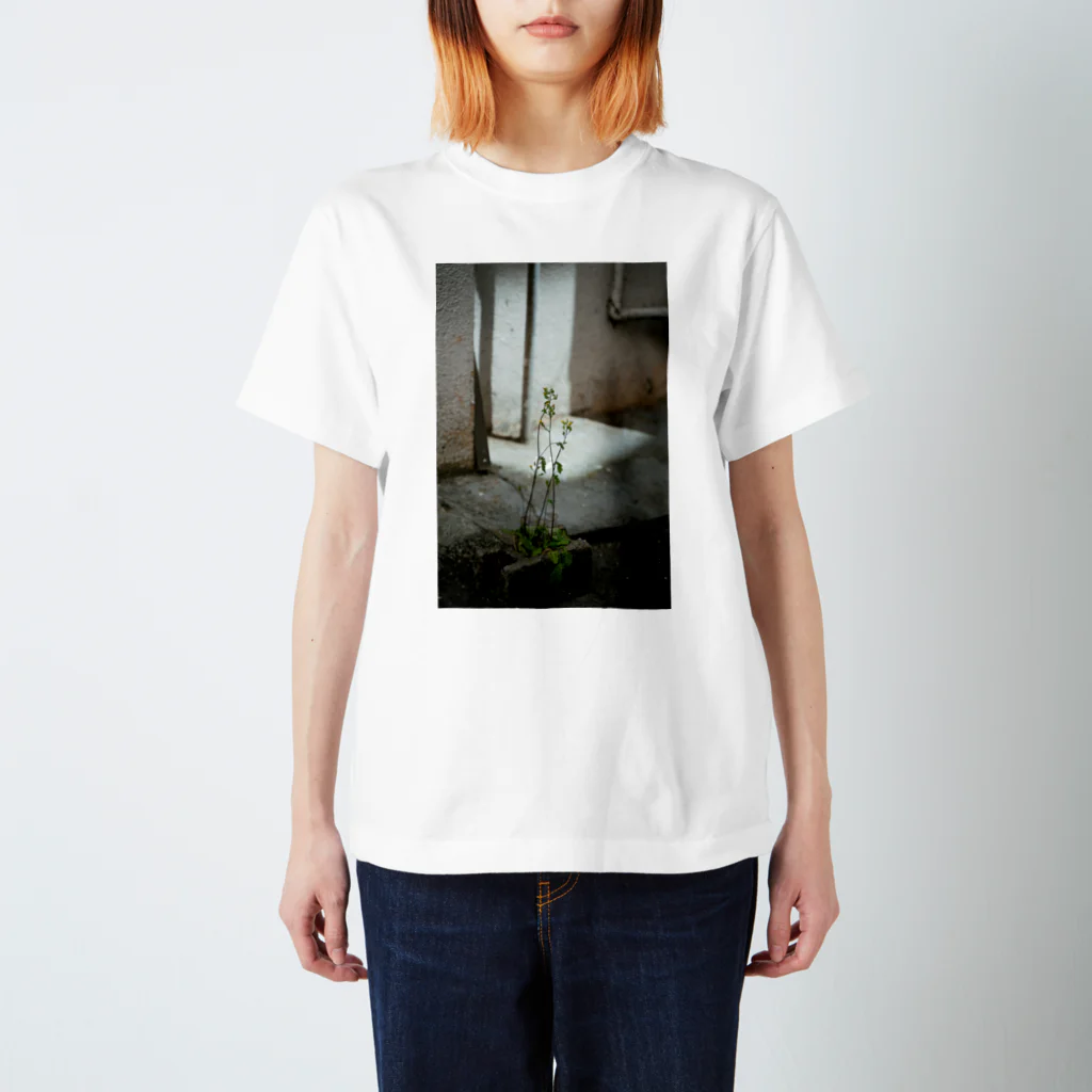 写真プリントのクサっても草 Regular Fit T-Shirt