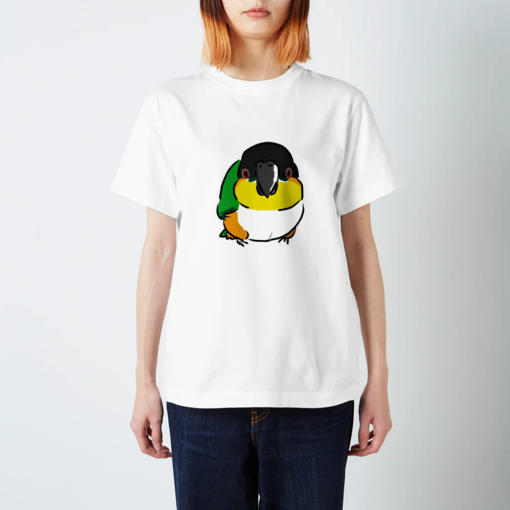 inkono shimobeのまんまるズグロシロハラインコ スタンダードTシャツ