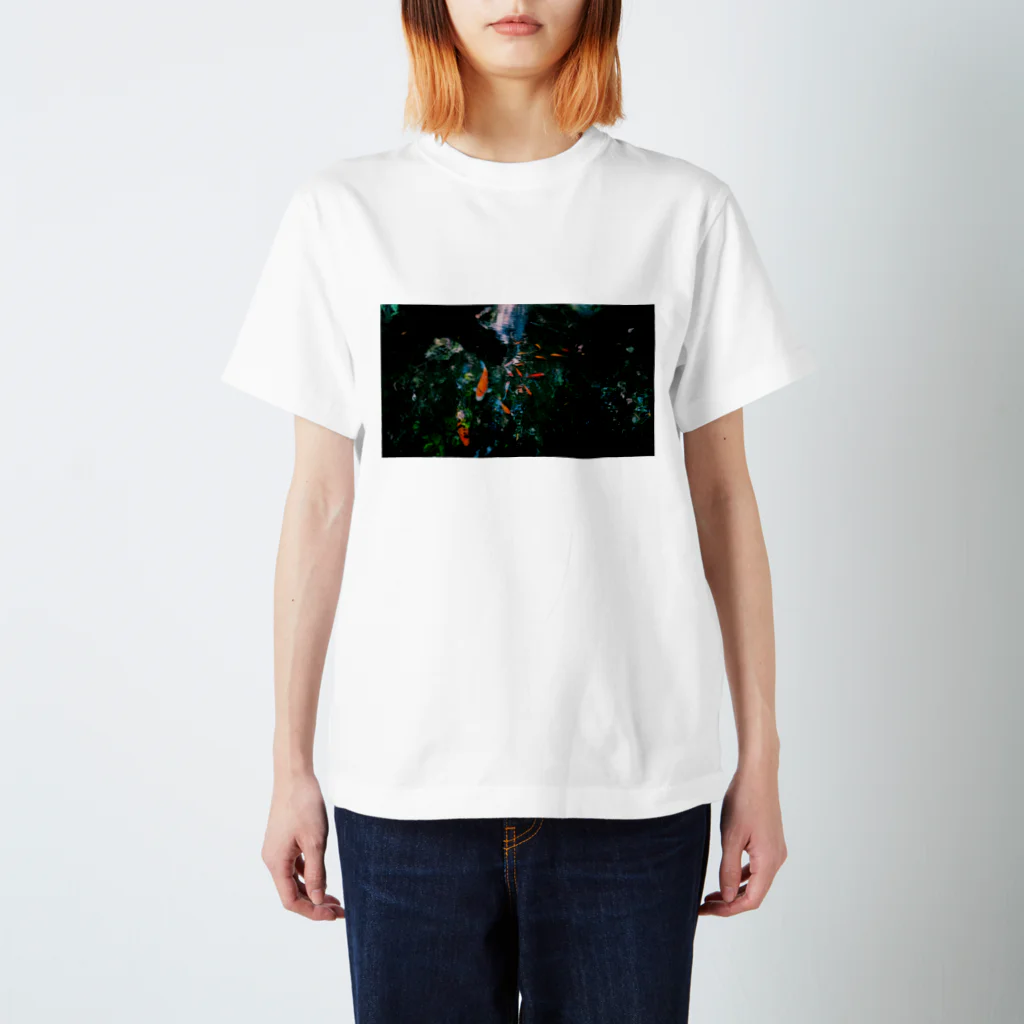 petit-chocolat🍫の夏の池 Regular Fit T-Shirt