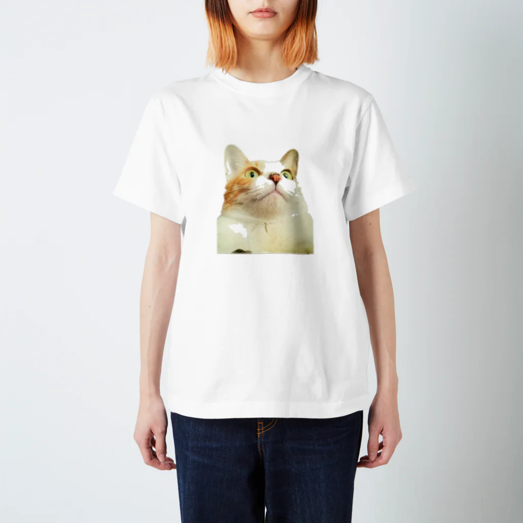 佐内 陽斗の猫のネネちゃん スタンダードTシャツ