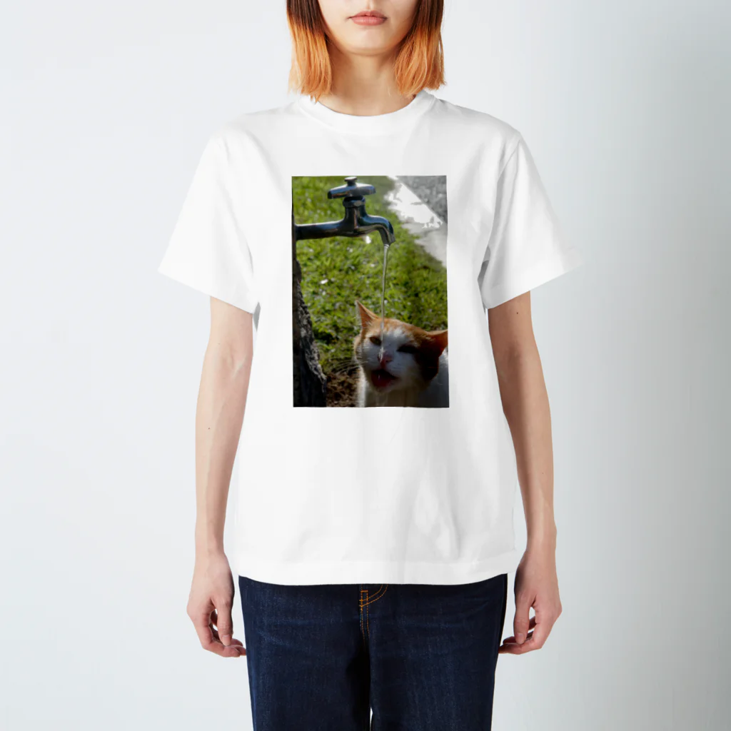 シッポ追いの猫写真店の命の水 スタンダードTシャツ