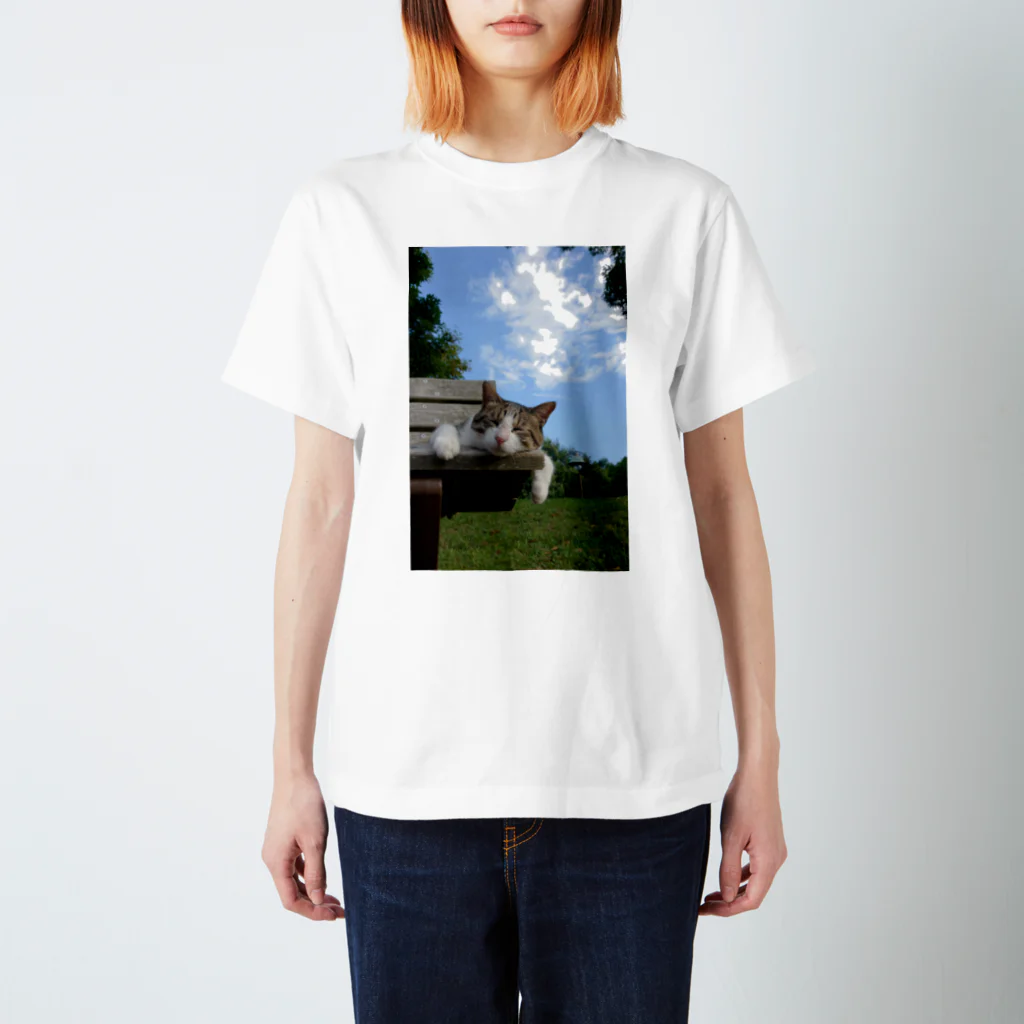 シッポ追いの猫写真店のSiesta Regular Fit T-Shirt