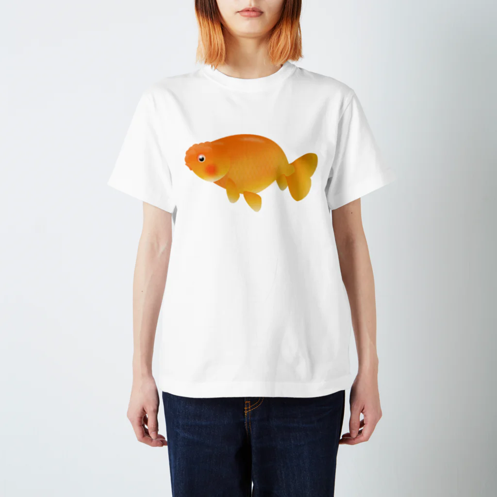 金魚のキンボの金魚 らんちゅう スタンダードTシャツ