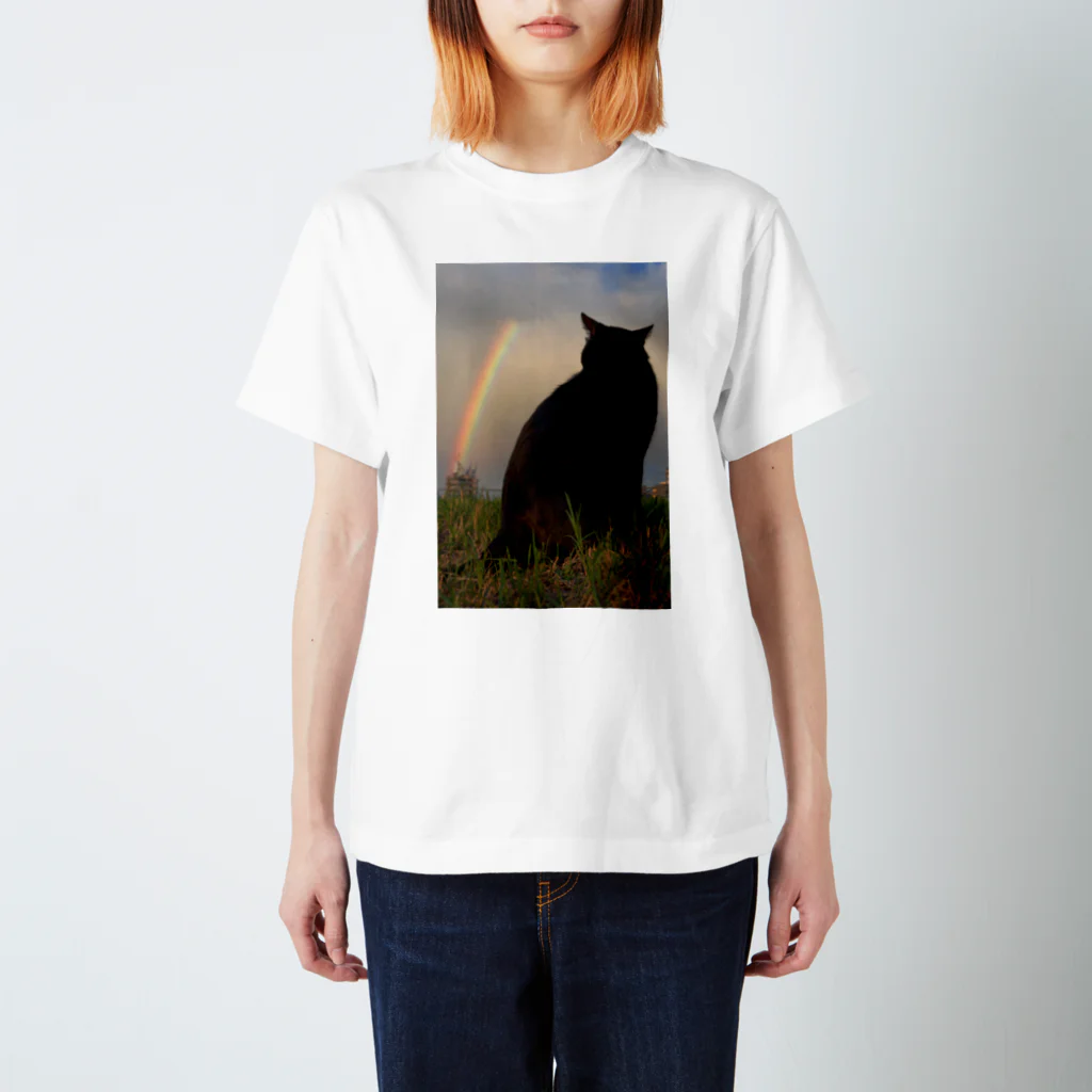 シッポ追いの猫写真店の虹の橋 スタンダードTシャツ