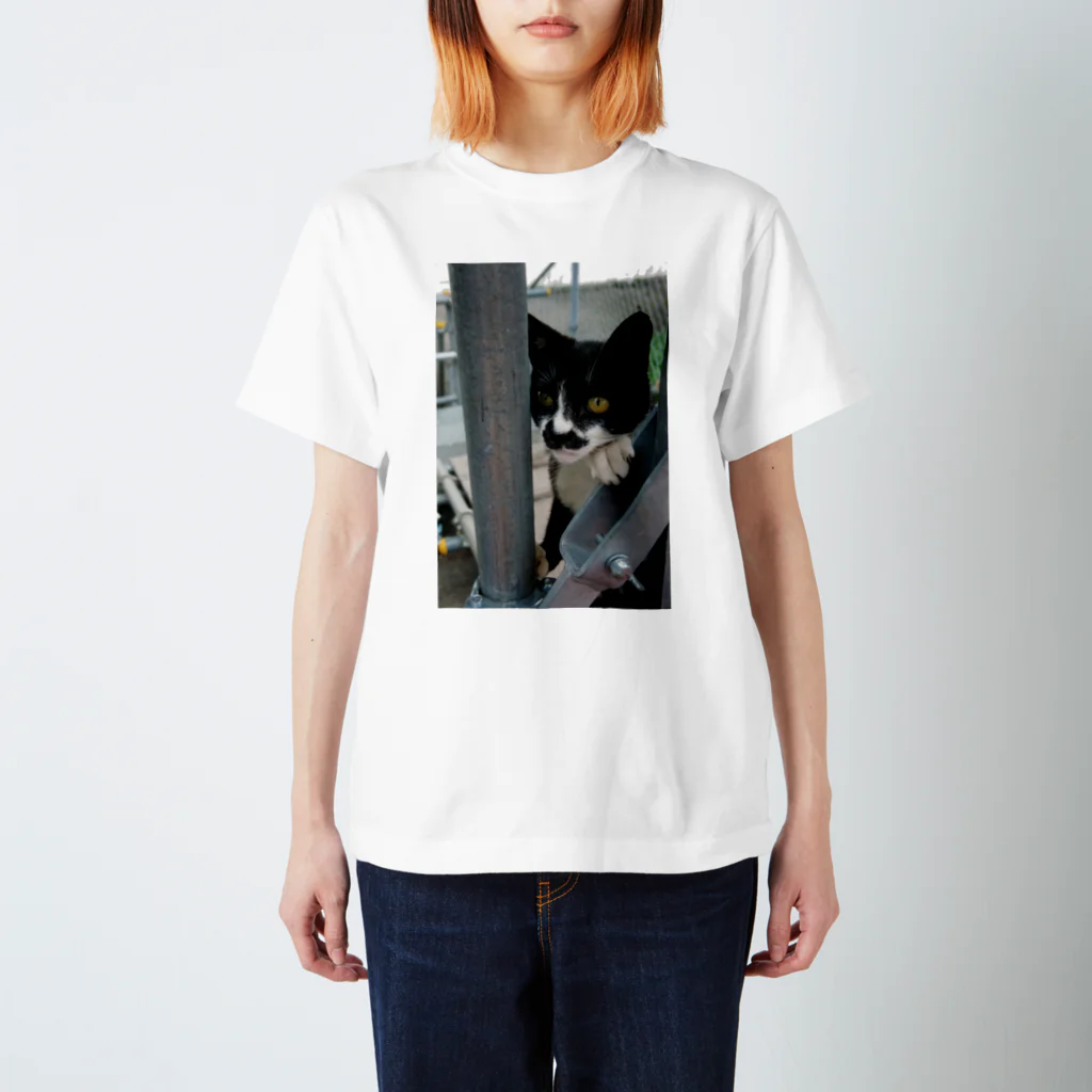 シッポ追いの猫写真店の張り込み スタンダードTシャツ