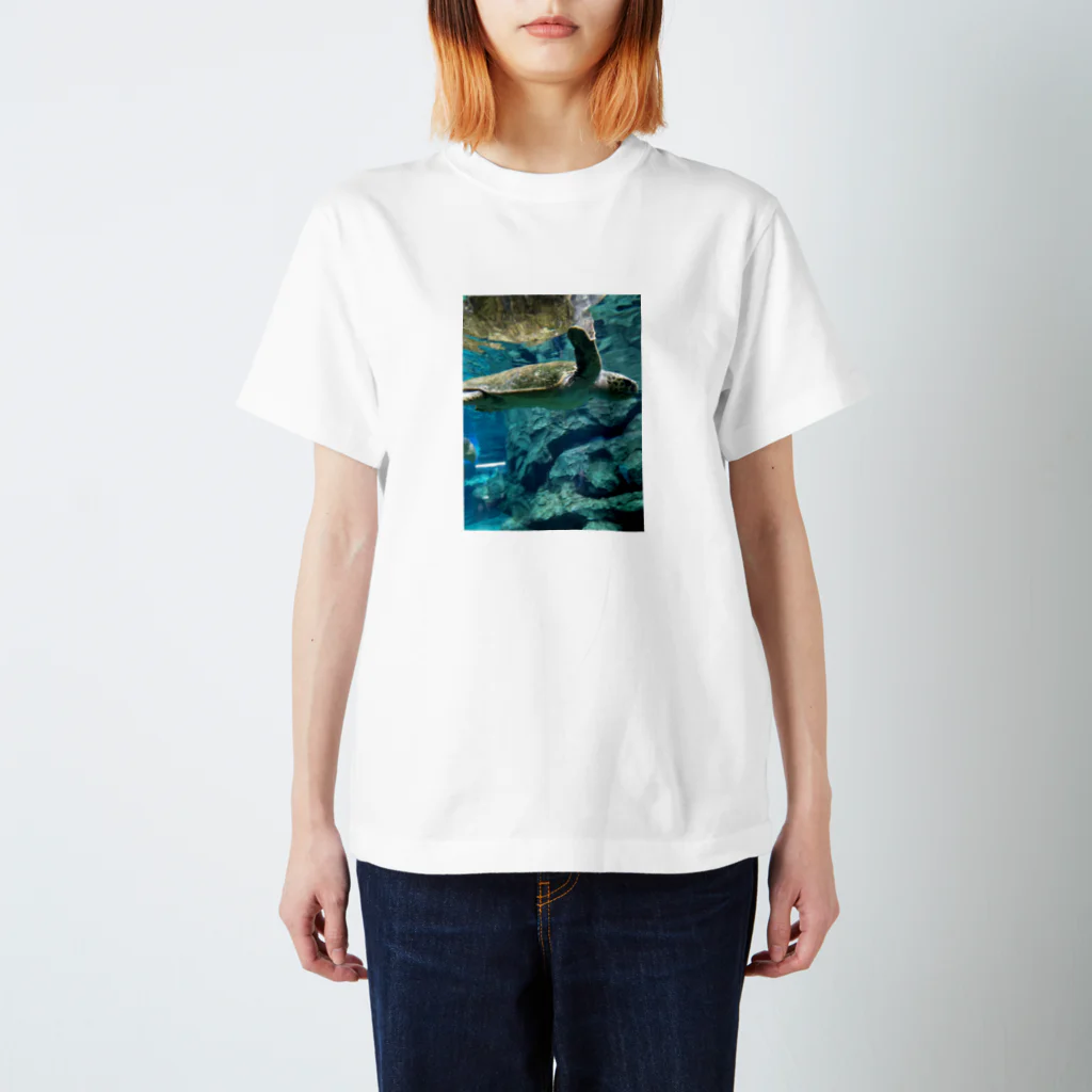 ▲s/hsp △の癒しのカメさん🐢 スタンダードTシャツ