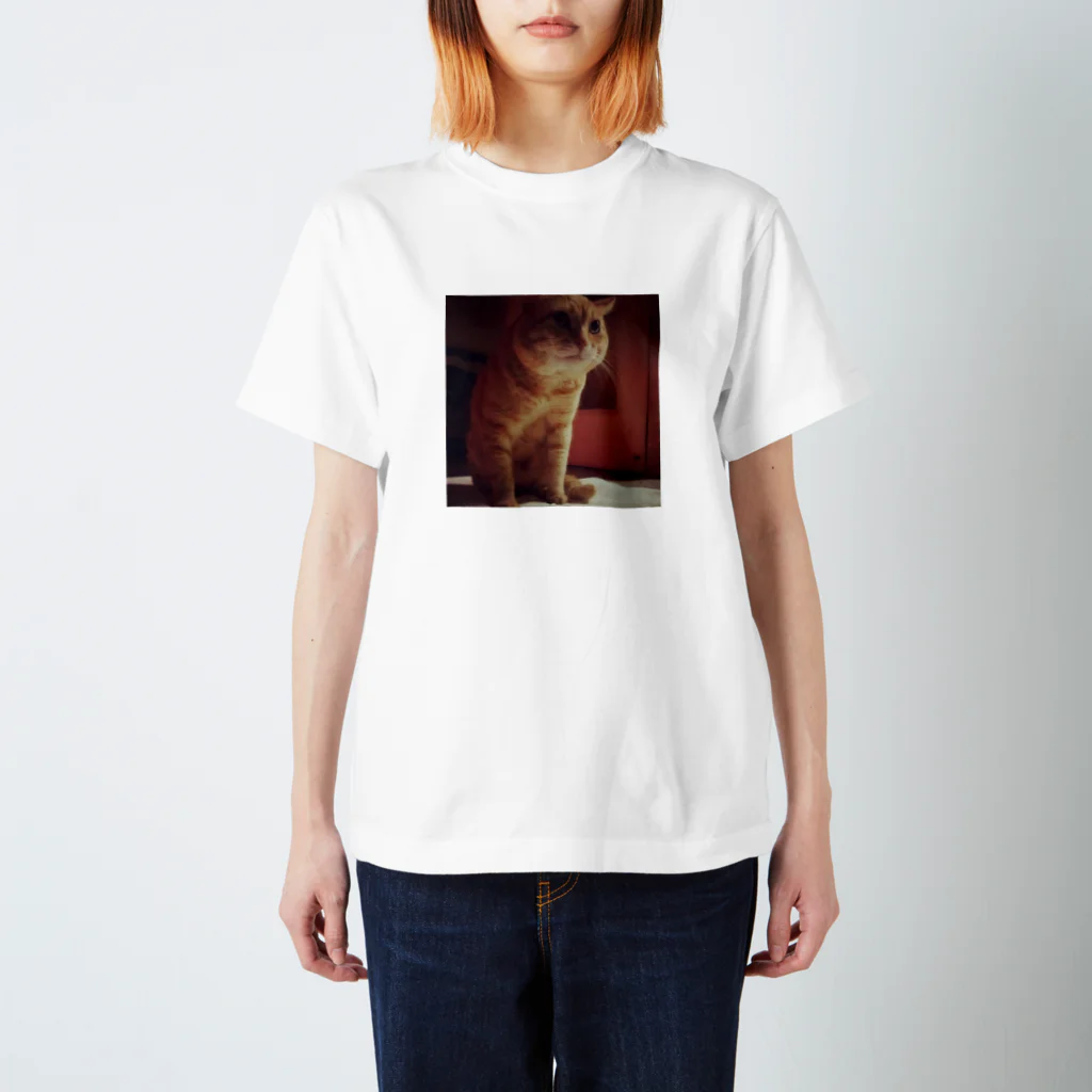 yukinotaneのみっちくん Regular Fit T-Shirt