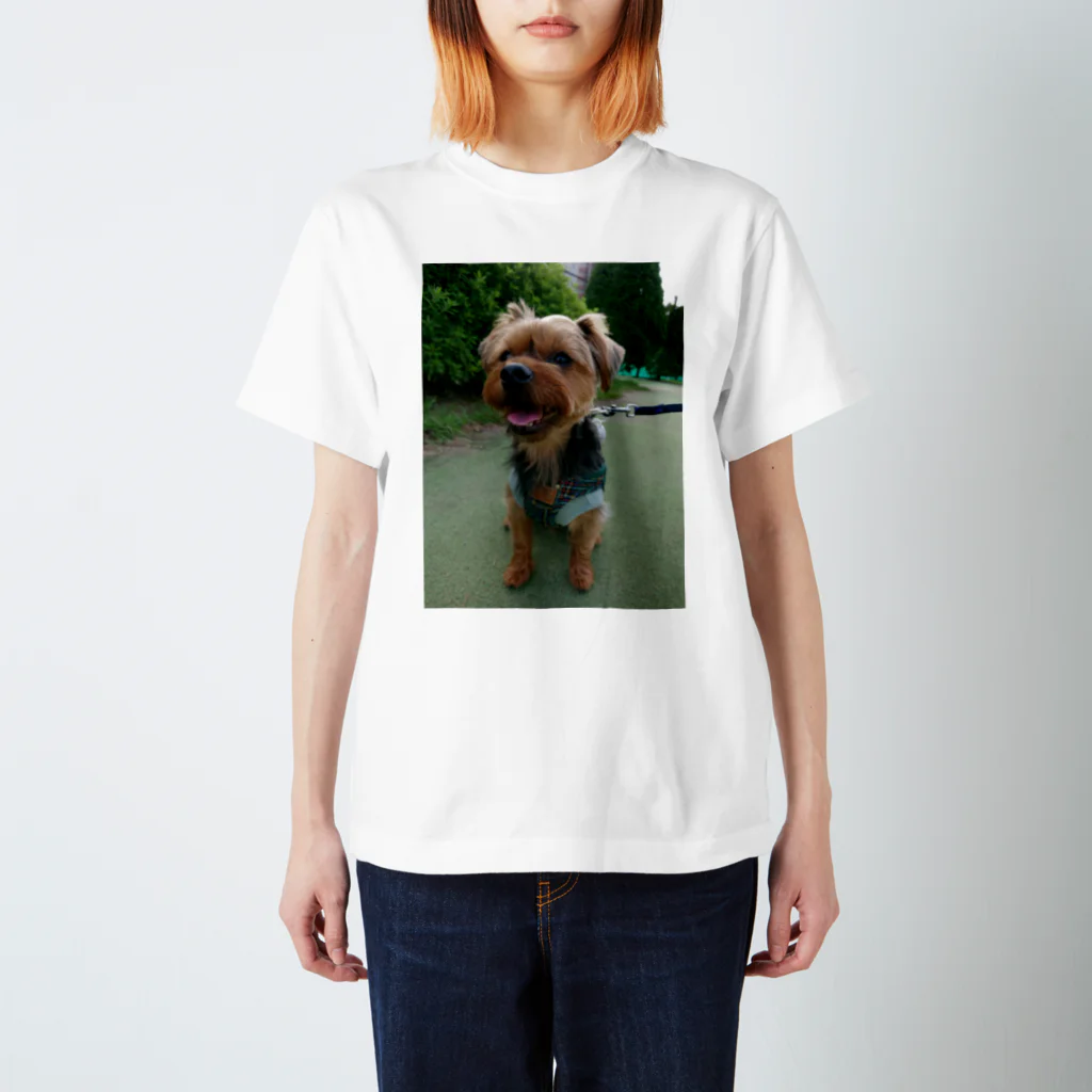 ミステリーキャラクターズのたれみみヨーキー犬 スタンダードTシャツ