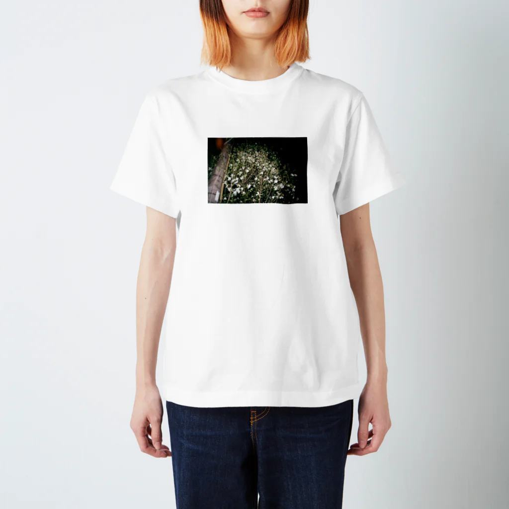 写真を使ったなにかしらの夜ニ咲ク白イ花 スタンダードTシャツ