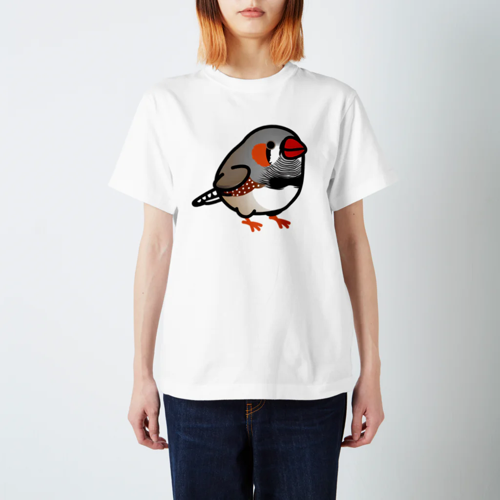Cody the LovebirdのChubby Bird キンカチョウ Regular Fit T-Shirt