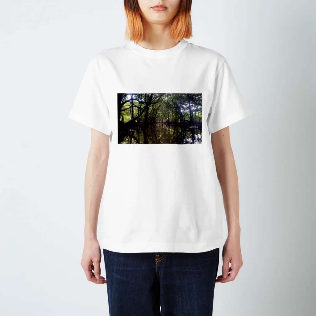 ヘイシデザインの旅するTシャツシ41 Regular Fit T-Shirt