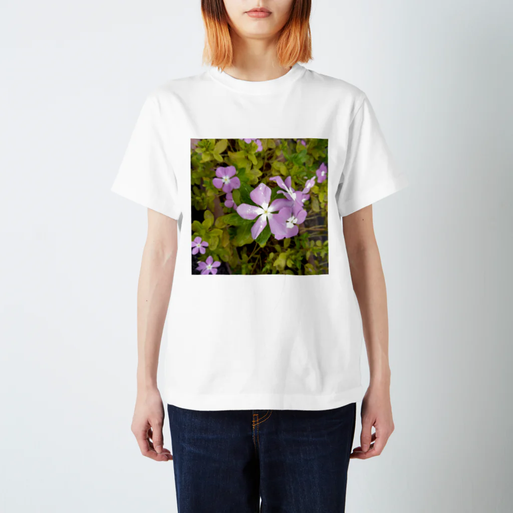 藤色の書斎のピンクお花🌸 スタンダードTシャツ