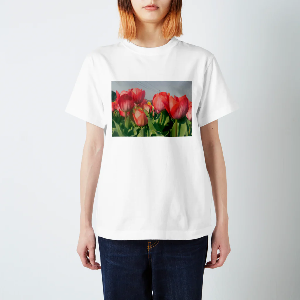 devilearのオハナ Regular Fit T-Shirt