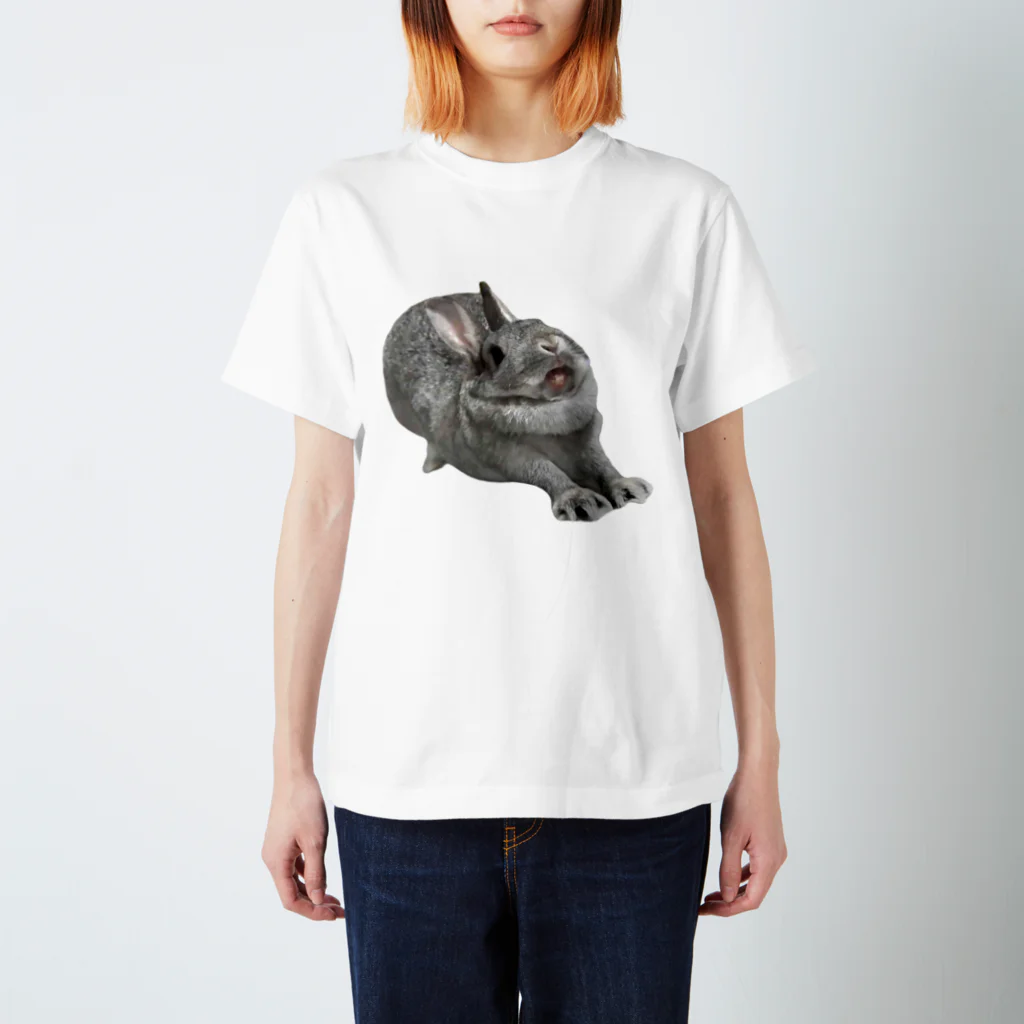 いきもの大好き！ほほえみフレンズのウサギさんの豪快な伸び Regular Fit T-Shirt