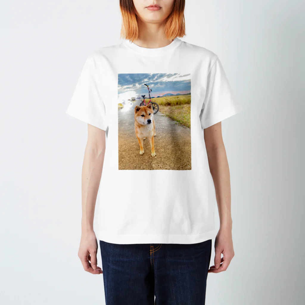 柴犬　威武（イブ）君の柴犬　威武（イブ）君 スタンダードTシャツ