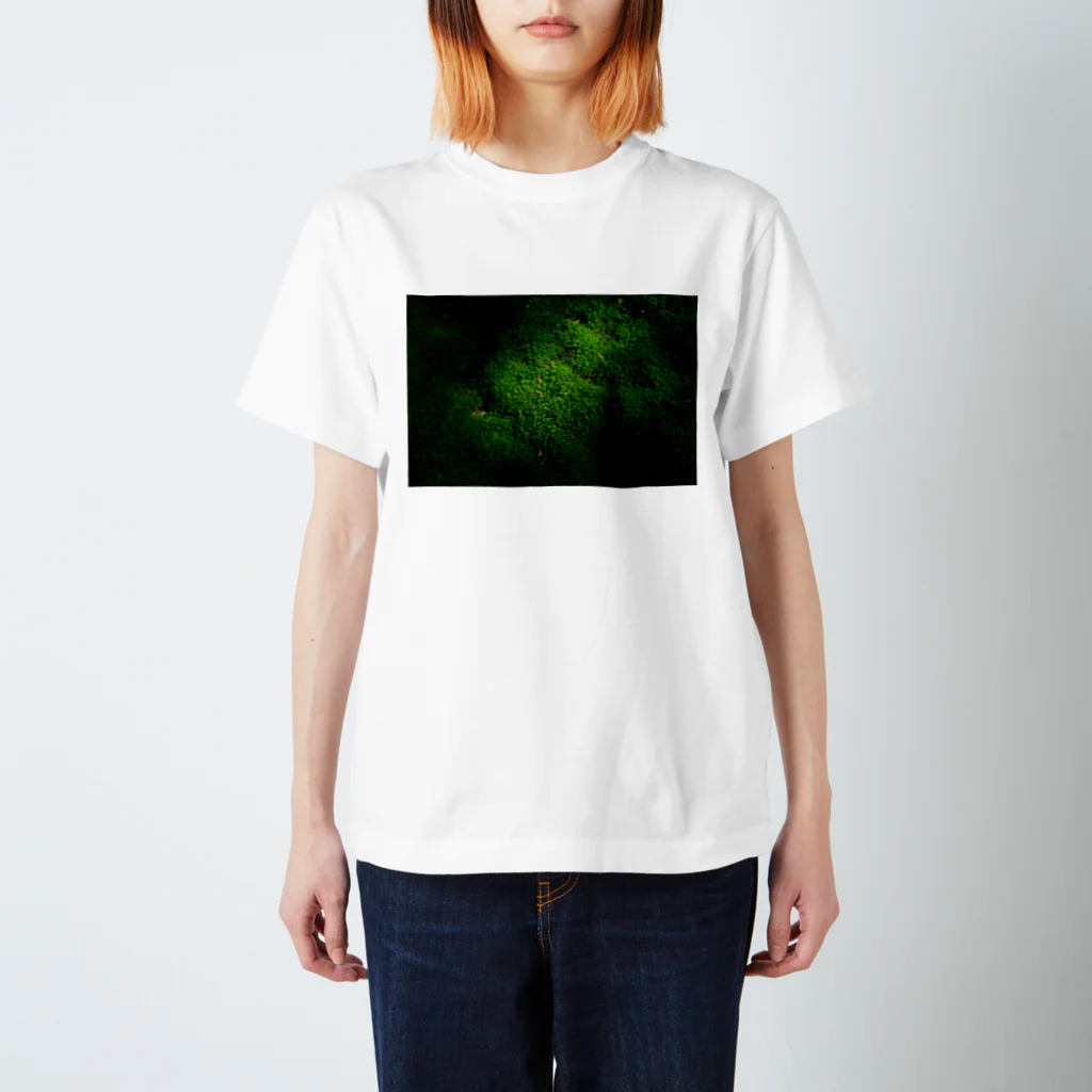 ak296のDeep Green スタンダードTシャツ