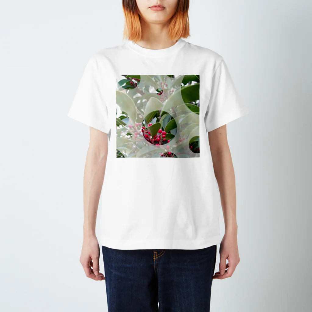 Lily bird（リリーバード）のピラカンサス（？）photo 正方形 Regular Fit T-Shirt