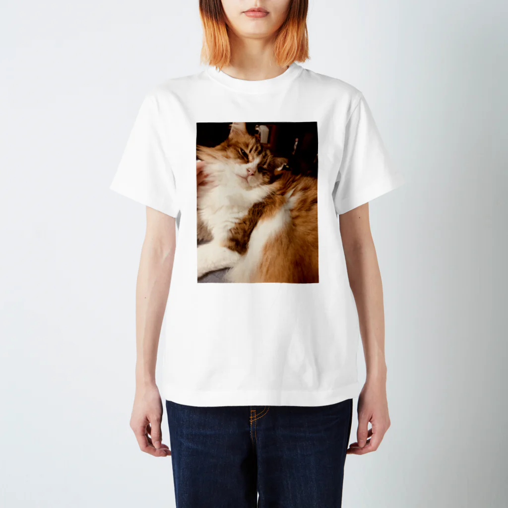 いぬたゃのねこ Regular Fit T-Shirt