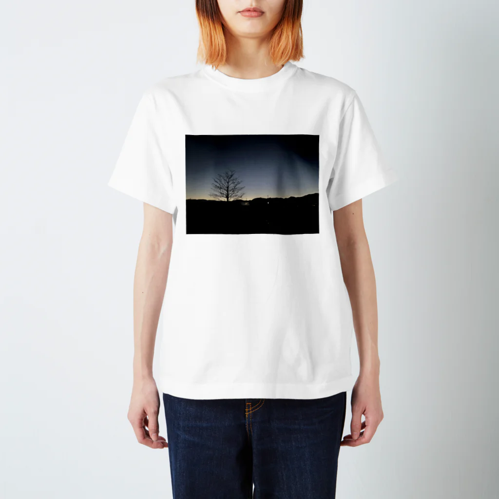 2929gawDesignShop358のEarly winter sunrise スタンダードTシャツ