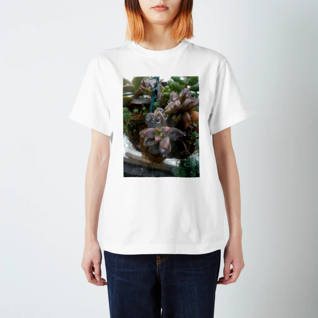 ミクロの雨の中の多肉植物 Regular Fit T-Shirt