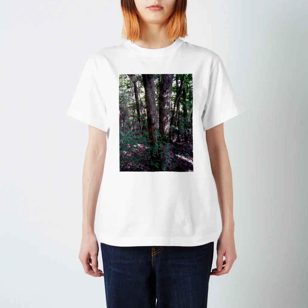 墓のガチの山 Regular Fit T-Shirt