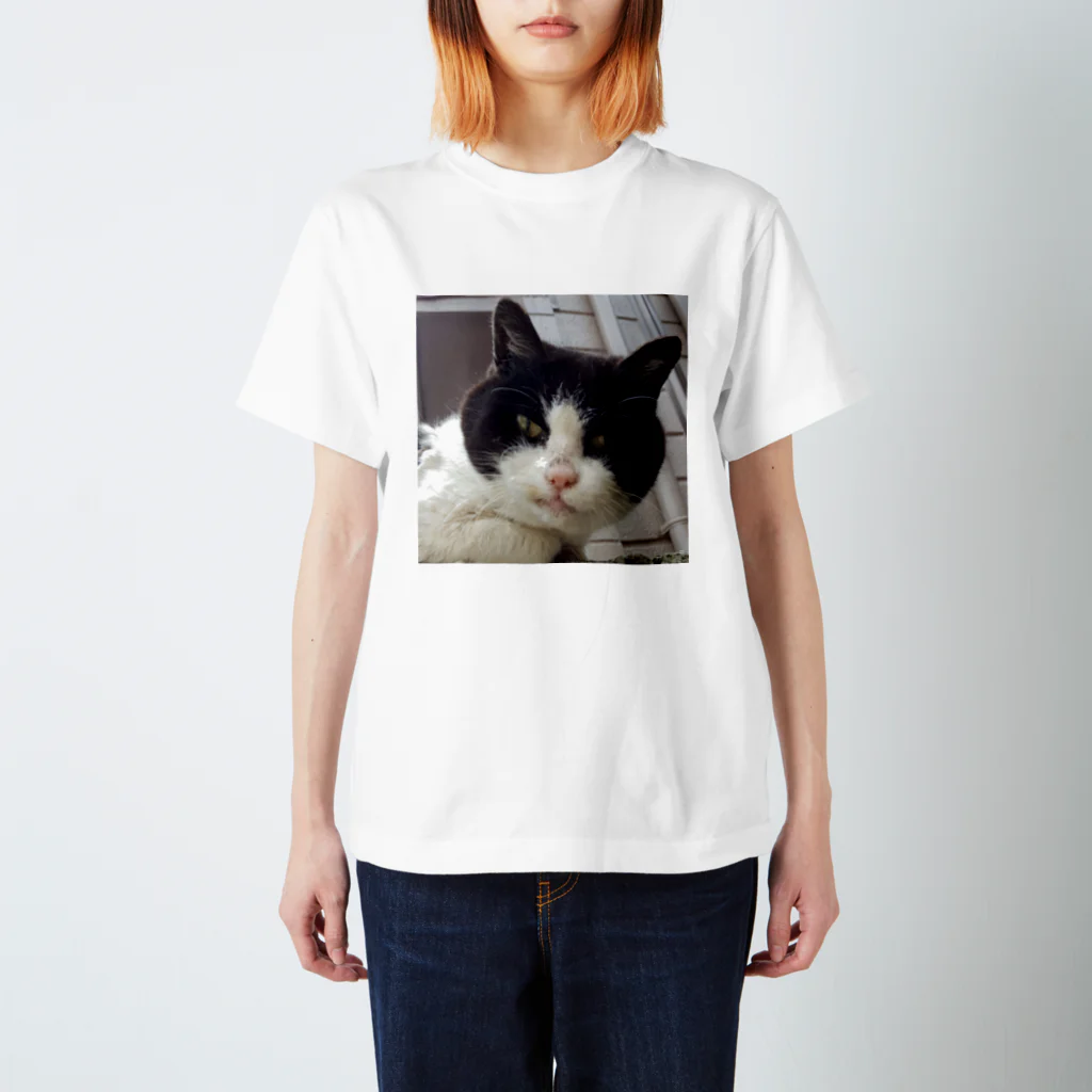 サンドイッチ舎の雨猫クロさん スタンダードTシャツ