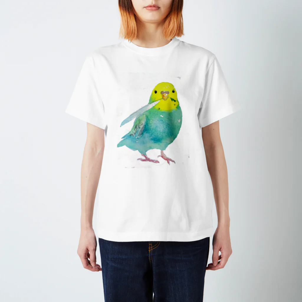 kadoBIRDの水彩セキセイ Regular Fit T-Shirt