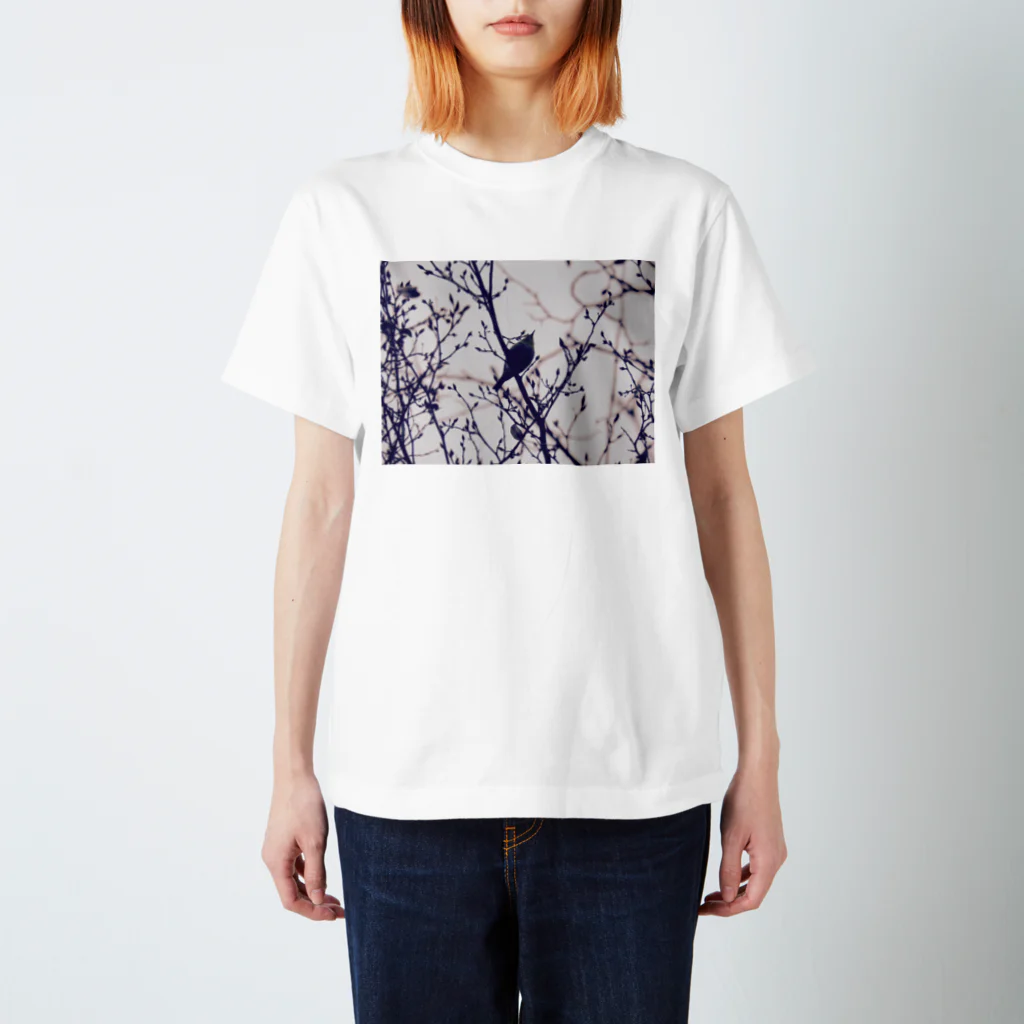 ひょうたん翠のspring has come. Regular Fit T-Shirt