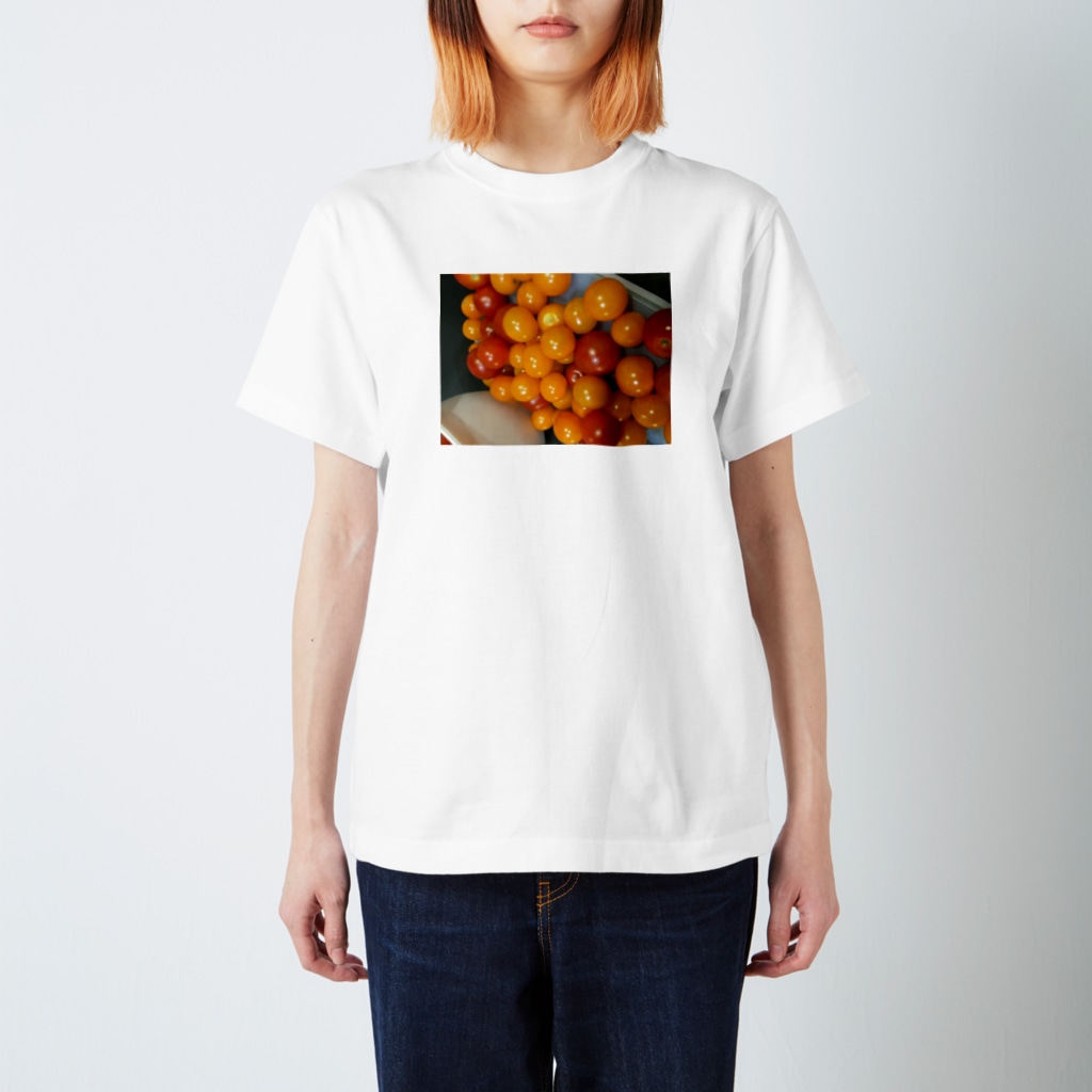 Ritteのカラフルトマト Regular Fit T-Shirt
