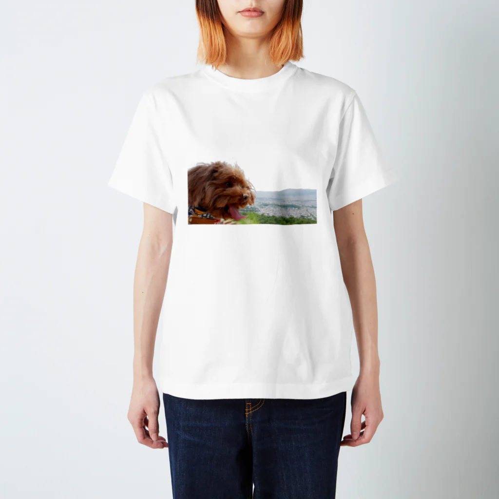 KAKA's Createのハリー山に登る スタンダードTシャツ