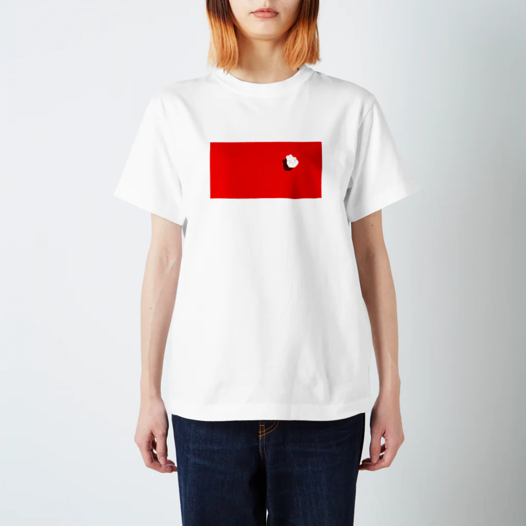 nsnのNUI スタンダードTシャツ