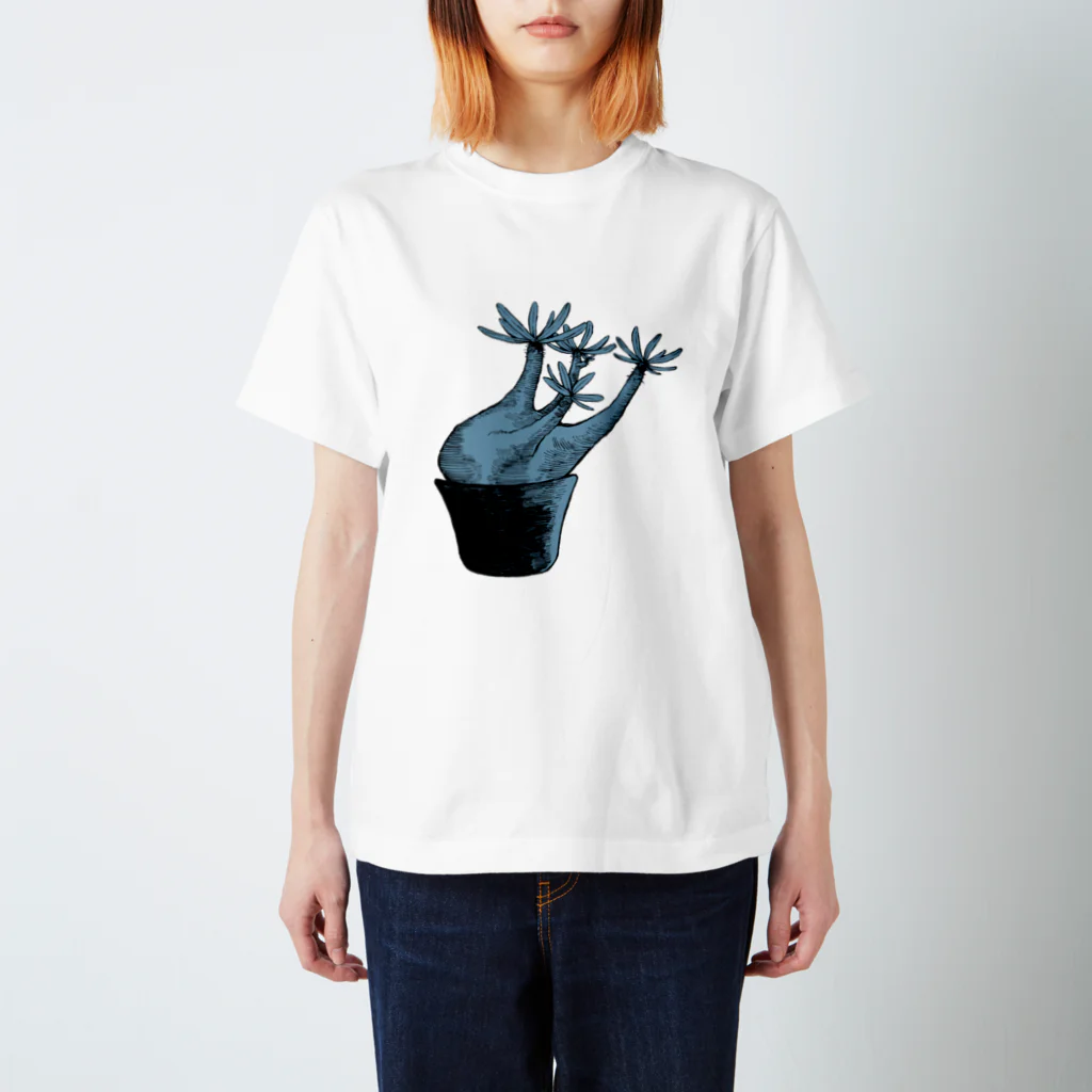 Pot.のパキポディウム スタンダードTシャツ