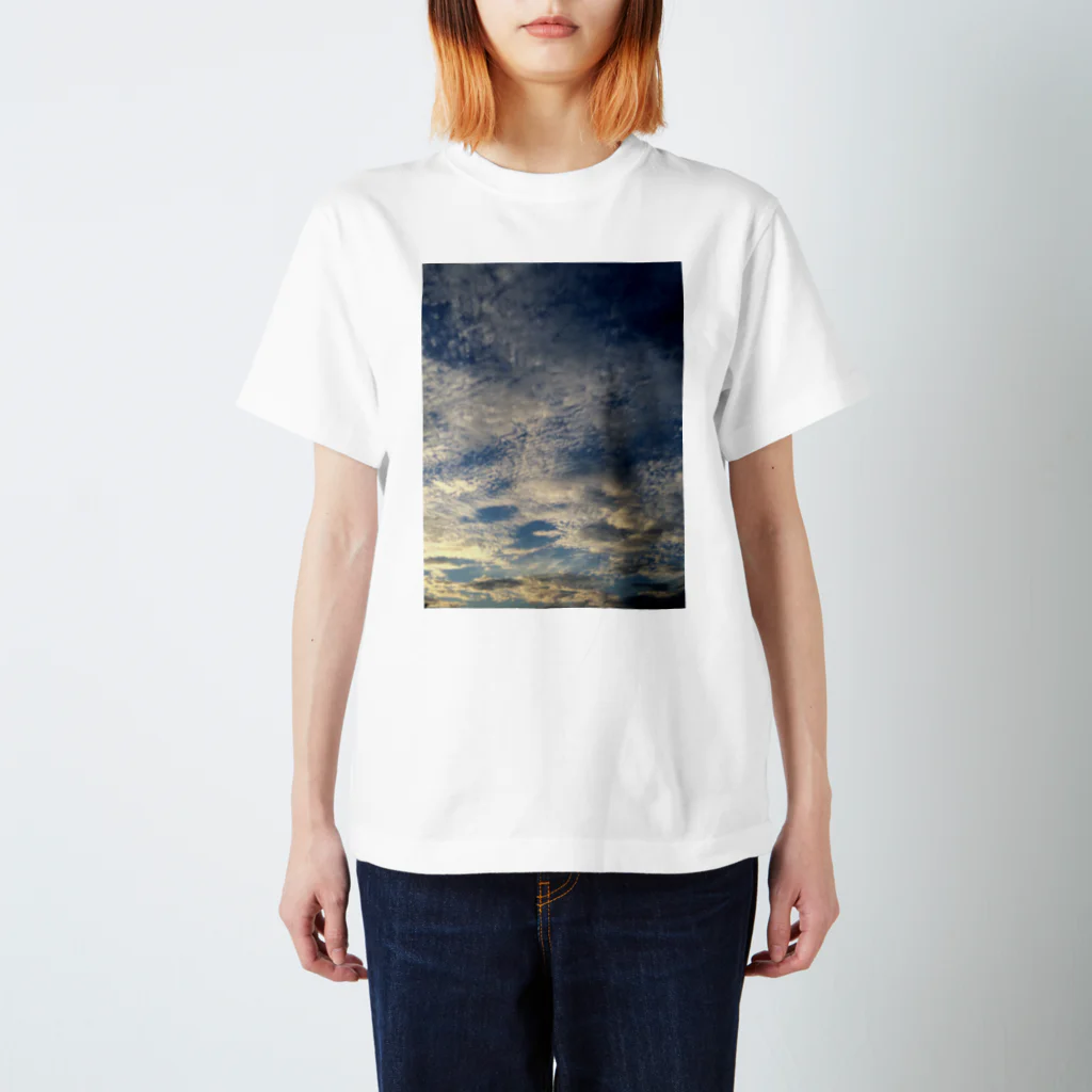 かぼちゃ🎃の空 Regular Fit T-Shirt