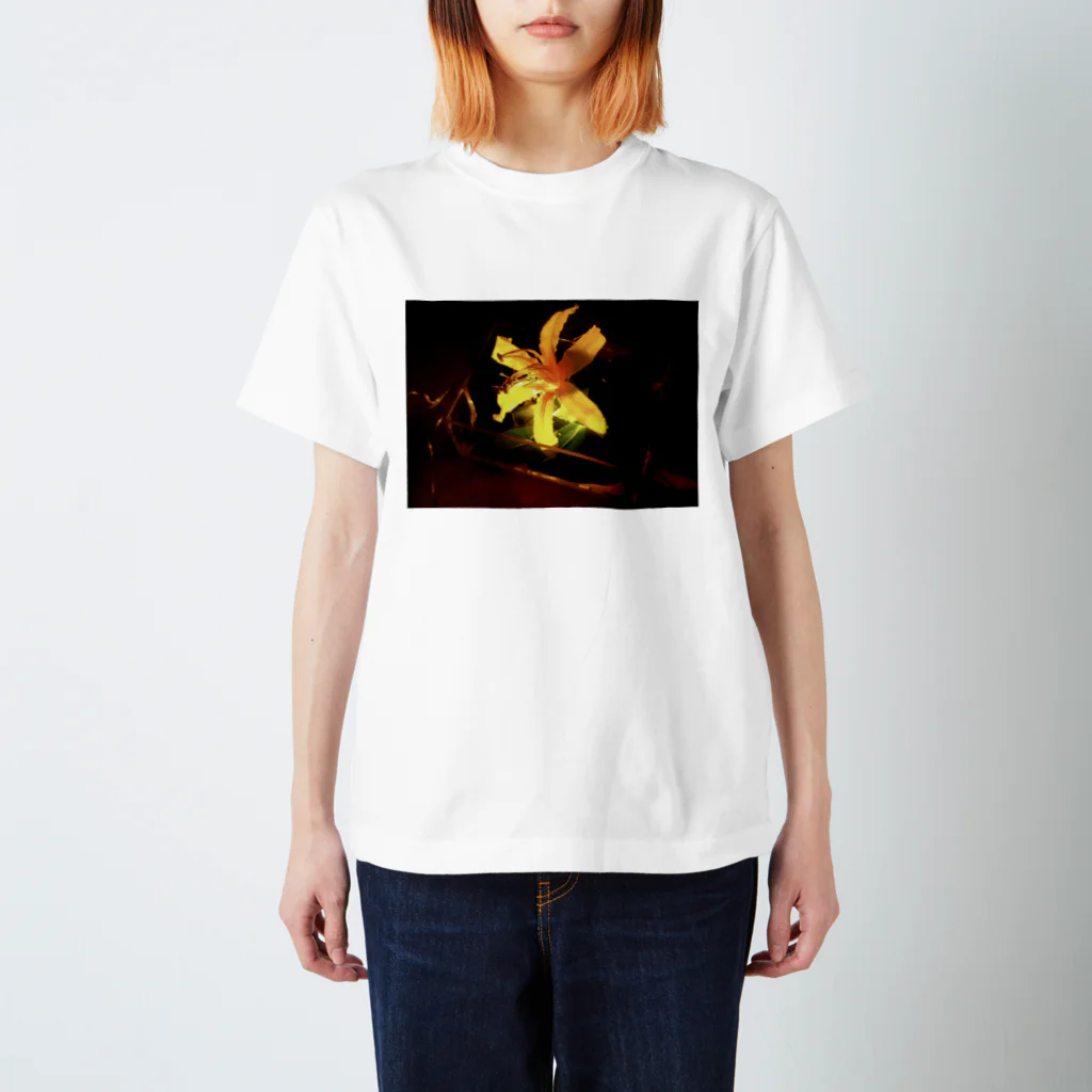 Y-Tの輝け花よ Regular Fit T-Shirt