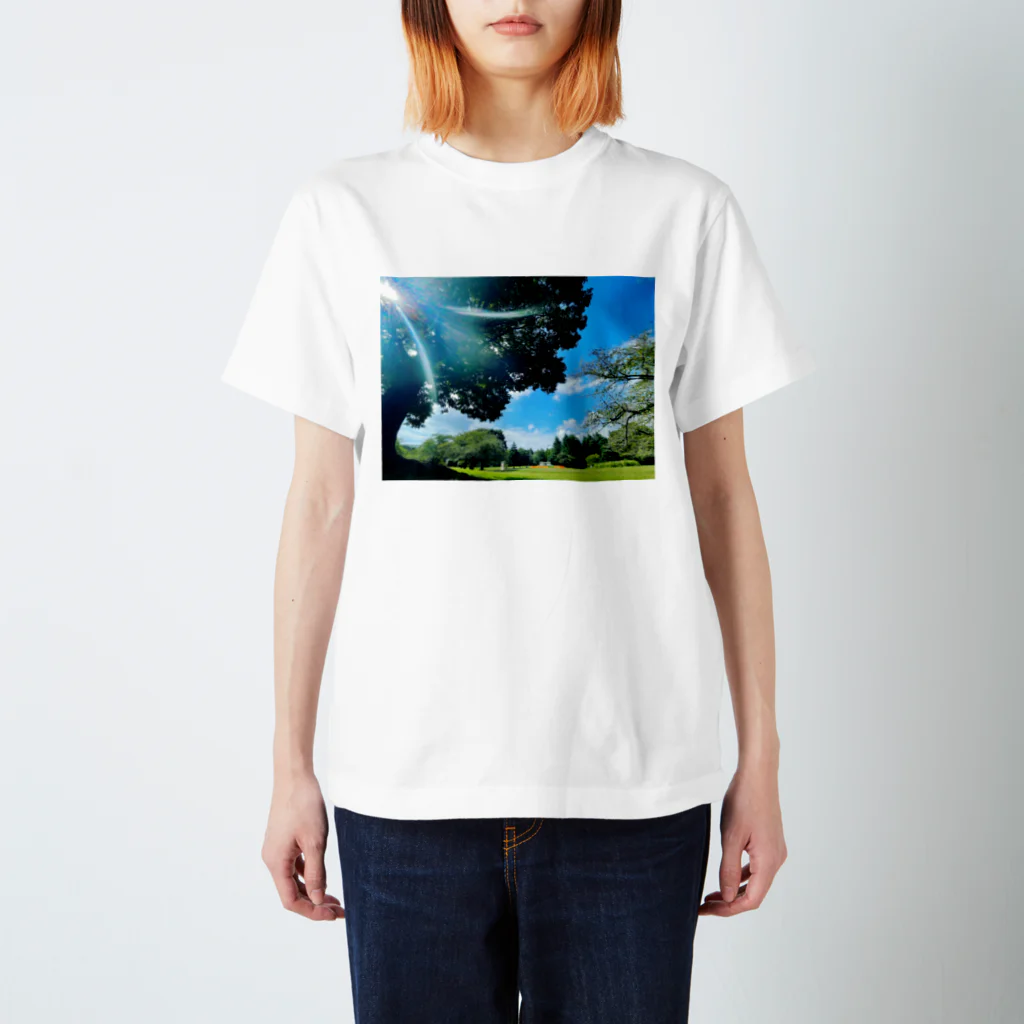 ぼくこくぼの木漏れ日と芝生と空 Regular Fit T-Shirt