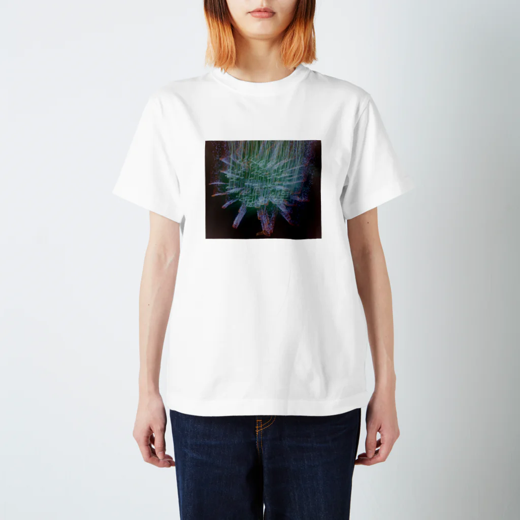 わらしゃんどの花火 スタンダードTシャツ