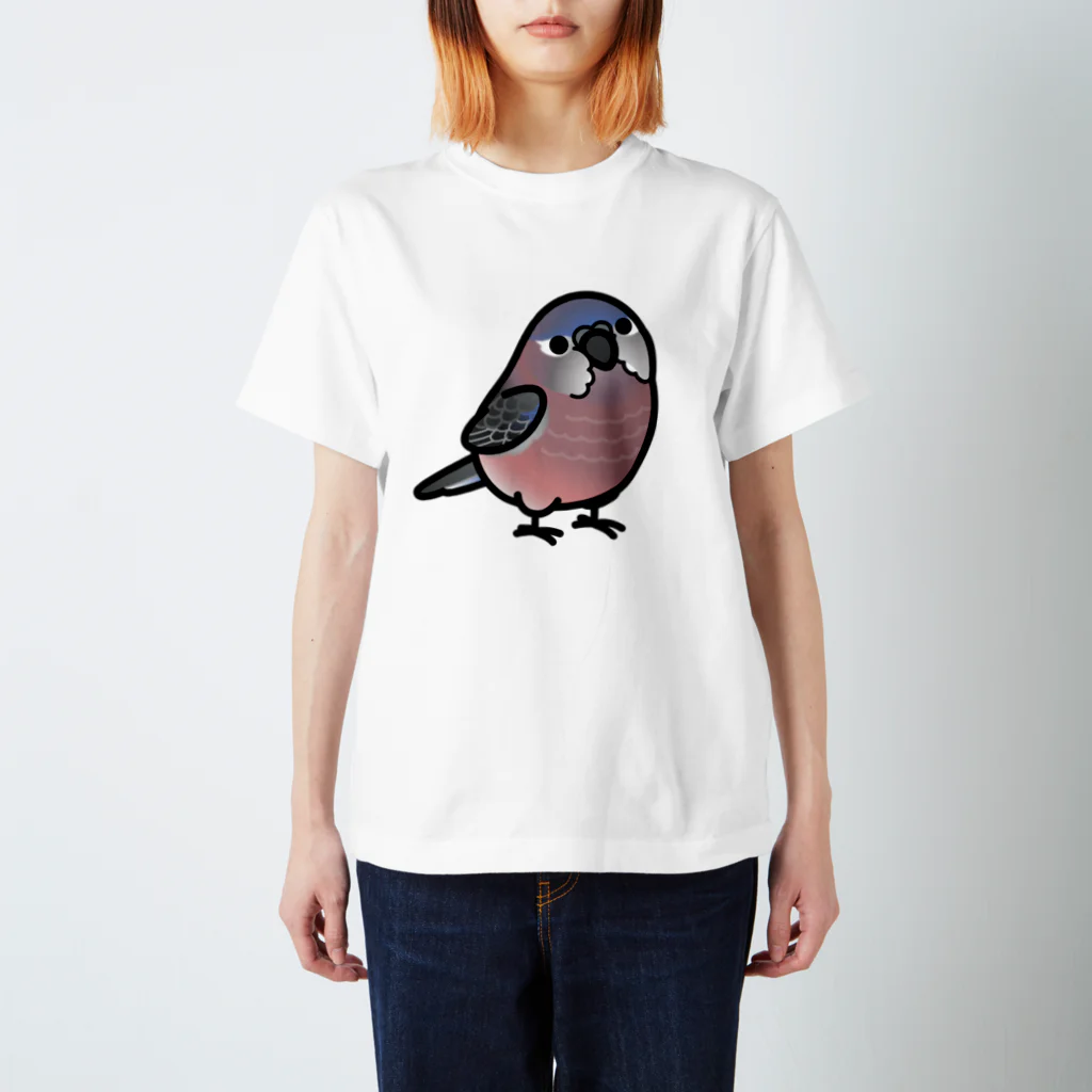 Cody the LovebirdのChubby Bird　アキクサインコ Regular Fit T-Shirt