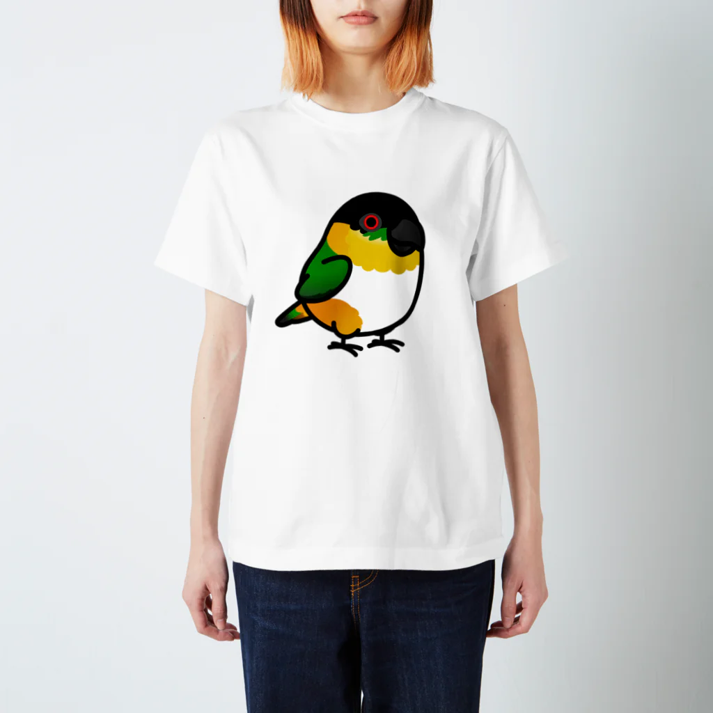 Cody the LovebirdのChubby Bird　ズグロシロハラインコ Regular Fit T-Shirt