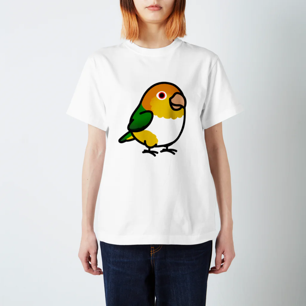 Cody the LovebirdのChubby Bird シロハラインコ スタンダードTシャツ