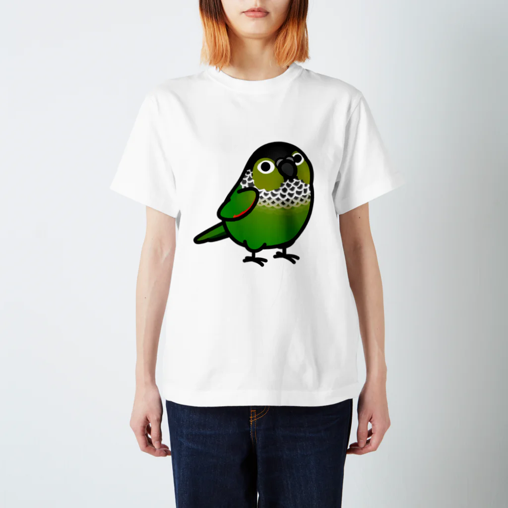 Cody the LovebirdのChubby Bird　ウロコインコ スタンダードTシャツ