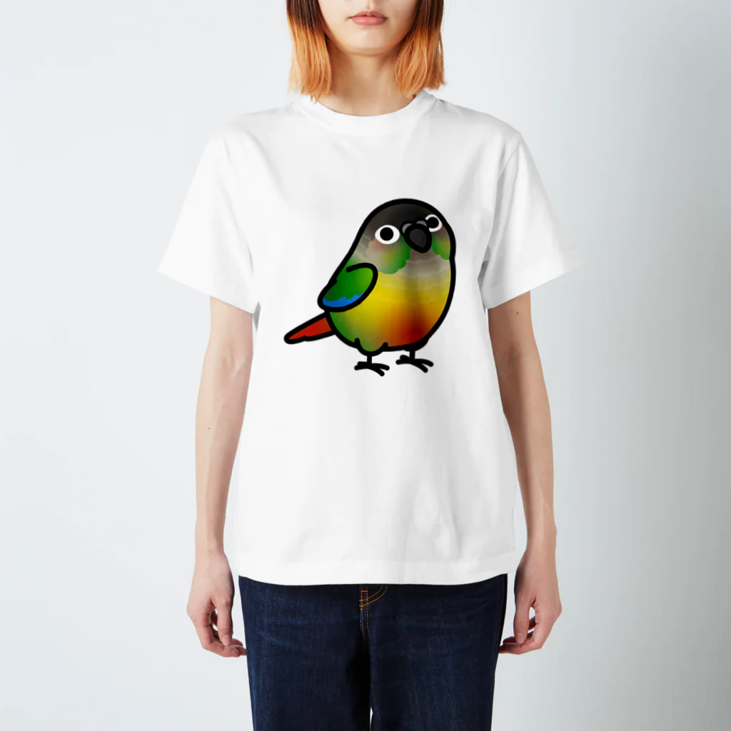 Cody the LovebirdのChubby Bird　ウロコインコ Regular Fit T-Shirt