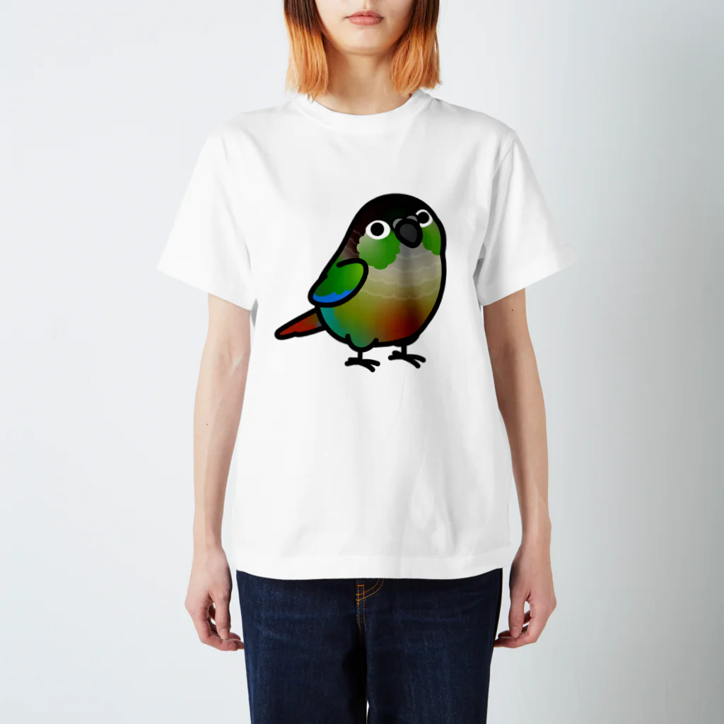 Cody the LovebirdのChubby Bird ウロコインコ Regular Fit T-Shirt